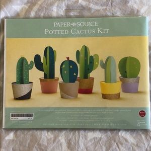 Paper source potted cactus kit